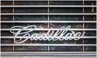 Dieses Foto ist als kostenloser Download (ohne Rand und Signatur) im Originalformat oder als Print zum Kauf/Mieten in meinem Shop auf <a href="https://butlaix.de/produkt/fotografie-cadillac-no-1/" target="_blank" rel="noreferrer noopener" >BUTLAIX_media</a> verfügbar. Verchromter Cadillac-Schriftzug in geschwungener Kursivschrift auf verwittertem, horizontalen Chromgitter eines Oldtimers, Nahaufnahme.