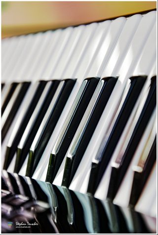 Dieses Foto ist als kostenloser Download (ohne Rand und Signatur) im Originalformat oder als Print zum Kauf/Mieten in meinem Shop auf <a href="https://butlaix.de/produkt/fotografie-akkordeon-no-6/" target="_blank" rel="noreferrer noopener" >BUTLAIX_media</a> verfügbar. Nahaufnahme von Akkordeon-Tasten mit weißen und schwarzen Tasten, die sich im glänzenden schwarzen Gehäuse spiegeln. Geringe Tiefenschärfe mit unscharfem Hintergrund.