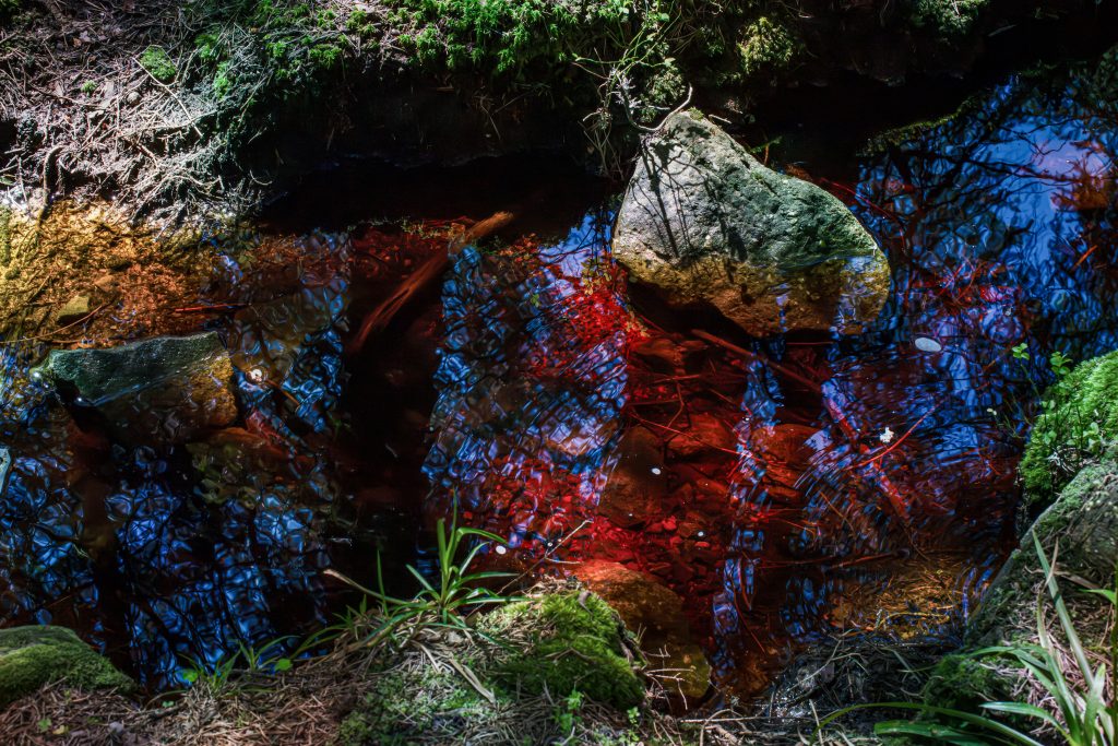 Felsiger Waldbach mit ungewöhnlich rot-blau schimmerndem Wasser durch Lichtreflexionen. Moosbedeckte Steine, Äste und Vegetation rahmen das Becken ein.
