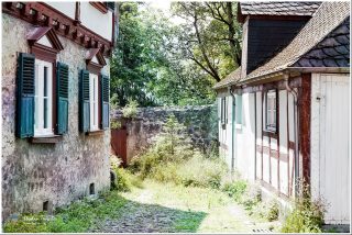 Dieses Foto ist als kostenloser Download (ohne Rand und Signatur) im Originalformat oder als Print zum Kauf/Mieten in meinem Shop auf <a href="https://butlaix.de/produkt/fotografie-schloss-braunfels-no-1/" target="_blank" rel="noreferrer noopener" >BUTLAIX_media</a> verfügbar. Verwachsene Gasse zwischen altem Bruchsteinhaus mit grünen Fensterläden und Fachwerkgebäude, Kopfsteinpflaster, überwucherter Natursteinmauer und sommerlichen Laubbäumen im Hintergrund.