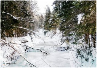 Dieses Foto ist als kostenloser Download (ohne Rand und Signatur) im Originalformat oder als Print zum Kauf/Mieten in meinem Shop auf <a href="https://butlaix.de/produkt/fotografie-winterlandschaft-no-3/" target="_blank" rel="noreferrer noopener" >BUTLAIX_media</a> verfügbar. Winterlicher Gebirgsbach vollständig vereist und schneebedeckt, umrahmt von schneebeladenen Nadelbäumen. Im Vordergrund ein gestürzter Ast über dem Eis, im Hintergrund ein gefrorener Wasserfall.