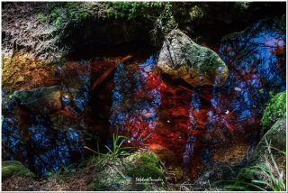 Dieses Foto ist als kostenloser Download (ohne Rand und Signatur) im Originalformat oder als Print zum Kauf/Mieten in meinem Shop auf <a href="https://butlaix.de/produkt/fotografie-rotes-wasserleuchten/" target="_blank" rel="noreferrer noopener" >BUTLAIX_media</a> verfügbar. Felsiger Waldbach mit ungewöhnlich rot-blau schimmerndem Wasser durch Lichtreflexionen. Moosbedeckte Steine, Äste und Vegetation rahmen das Becken ein.