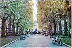 Baumgesäumte Allee mit Kopfsteinpflaster führt zu einem historischen Gebäude mit goldener Statue. Platanen mit charakteristischer Rinde säumen den Weg. Parkbänke, Spaziergänger und Blumenbeete beleben die städtische Promenade im Herbstlicht.